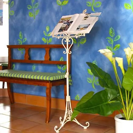Schiff-battello Hotel Ascona